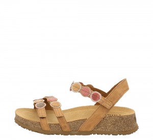 Think KOAK Strap Naisten Sandaalit Ruskea | EDY728104
